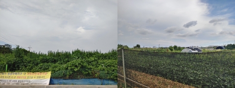 신혼부부만 덕본 사전청약?···30·40세대 불만 폭주