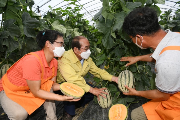 사진제공=청도군