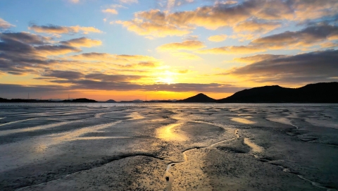 ‘한국의 갯벌’ 세계자연유산 등재