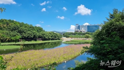 삼성디스플레이, 아산 가락바위저수지에 식물섬 조성···지역주민에 개방