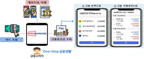 “토스·카카오페이 선불충전금도 오픈뱅킹서 확인”