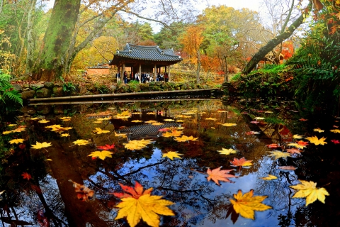담양군, ‘2021 담양 관광사진·영상 공모전’ 개최