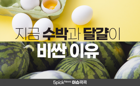 지금 수박과 달걀이 비싼 이유