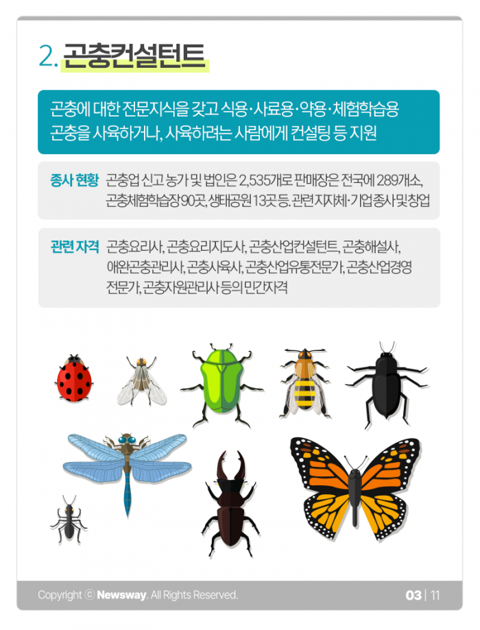 ‘곤충컨설턴트’를 아시나요? 기사의 사진