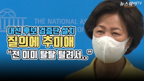 추미애, 대선후보 검증단 설치 질의에 “전 이미 탈탈 털려서...”