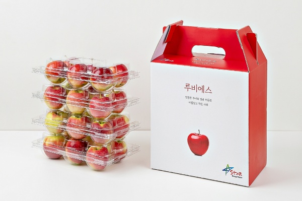 사진제공=영천시