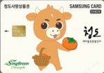 청도사랑상품권 체크카드 모형(사진제공=청도군)