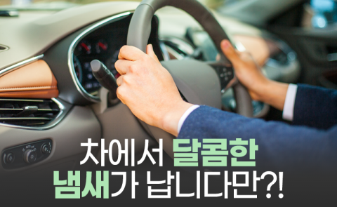 차에서 달콤한 냄새가 납니다만?!
