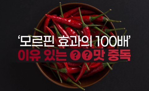 ‘모르핀 효과의 100배’ 이유 있는 ○○맛 중독