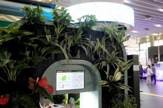 IoT 기반 식물형 공기정화장치