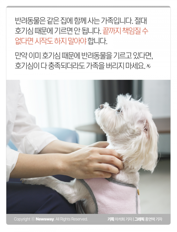 엄마 아빠, 나 왜 버렸어요? 기사의 사진