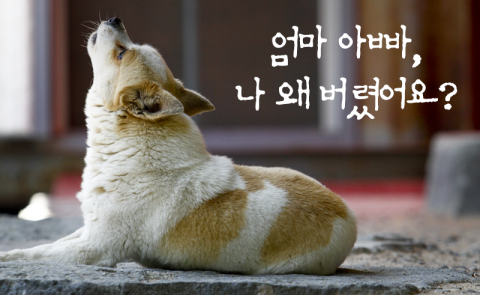엄마 아빠, 나 왜 버렸어요?