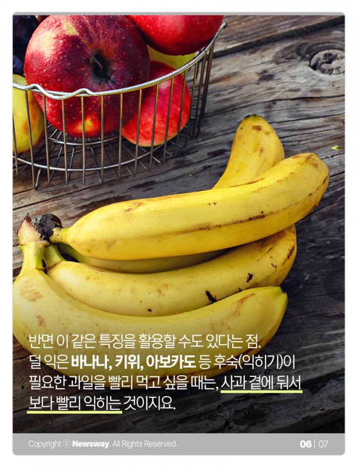 덜 익은 바나나 빨리 먹고 싶으면 ○○ 옆에 보관하세요 기사의 사진
