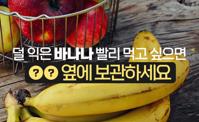 덜 익은 바나나 빨리 먹고 싶으면 ○○ 옆에 보관하세요