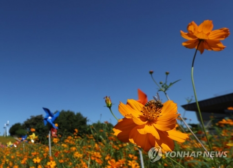 맑다가 차차 구름···한낮엔 예년 ‘가을 날씨’ 되찾아