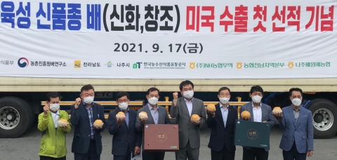 전남농협, 나주배 신품종 첫 수출로 미국 시장 확대 나서