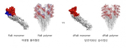 전남대 이준행·이시은 교수팀, 신약개발 근접한 면역증강제 개발