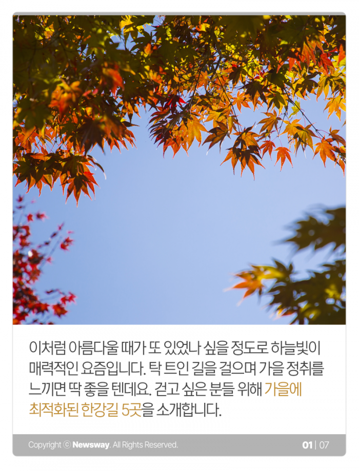 이런 하늘 아래선 걸어야 제맛! 가을 한강길 베스트 5 기사의 사진