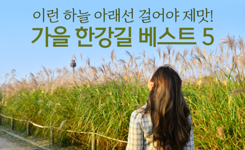 이런 하늘 아래선 걸어야 제맛! 가을 한강길 베스트 5