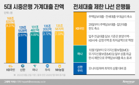 은행, 실수요자 대출까지 막았다