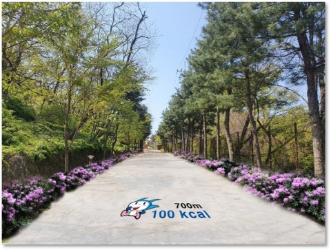 인천 미추홀구, 문학산 정상부 등산로 정비 추진