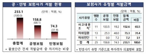 금감원, 의료광고법인 가장한 다단계式 보험사기단 최초 적발