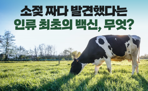 소젖 짜다 발견했다는 인류 최초의 백신, 무엇?