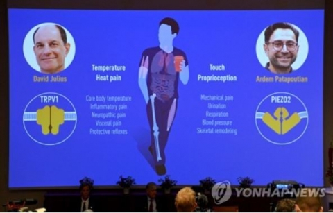 노벨생리의학상에 美 데이비드 줄리어스·아르뎀 파타푸티안