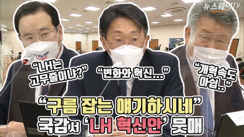 “구름 잡는 얘기하시네” 국감서 ‘LH 혁신안’ 뭇매