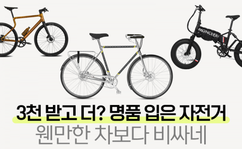 3천 받고 더? 명품 입은 자전거, 웬만한 차보다 비싸네