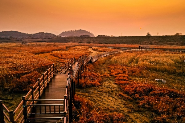 사진제공=대구시