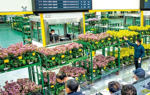 aT, 화훼류 온라인 매매실적 쑥쑥···41억원 돌파