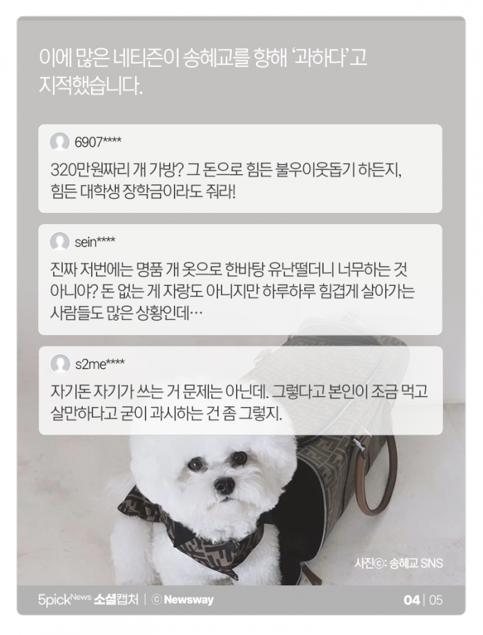 송혜교의 320만원짜리 개 가방···‘멍품’ 전성시대? 기사의 사진