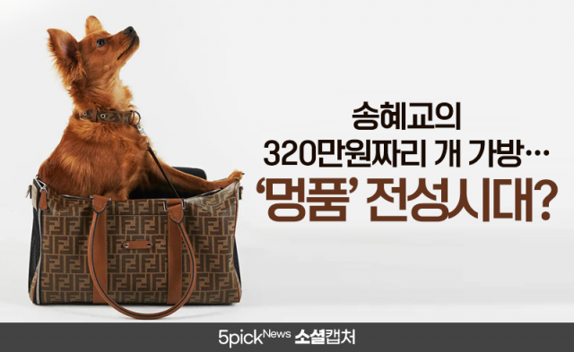 송혜교의 320만원짜리 개 가방···‘멍품’ 전성시대?
