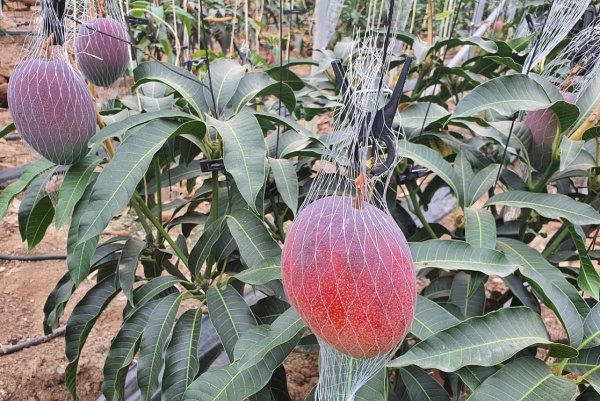 사진제공=경주시