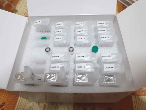 농기평, 꿀벌농가 살리는 ‘낭충봉아부패병, 부저병 진단기술’ 개발