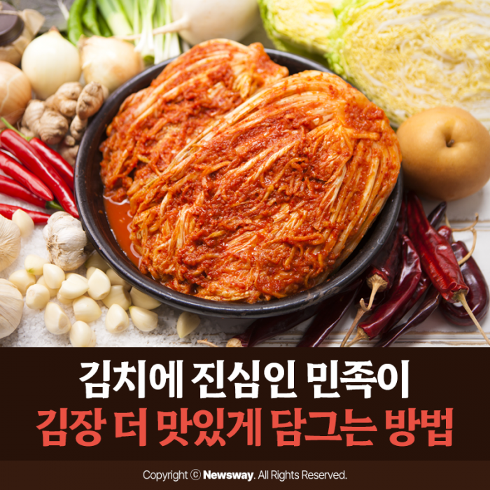 김치에 진심인 민족이 김장 더 맛있게 담그는 방법 기사의 사진