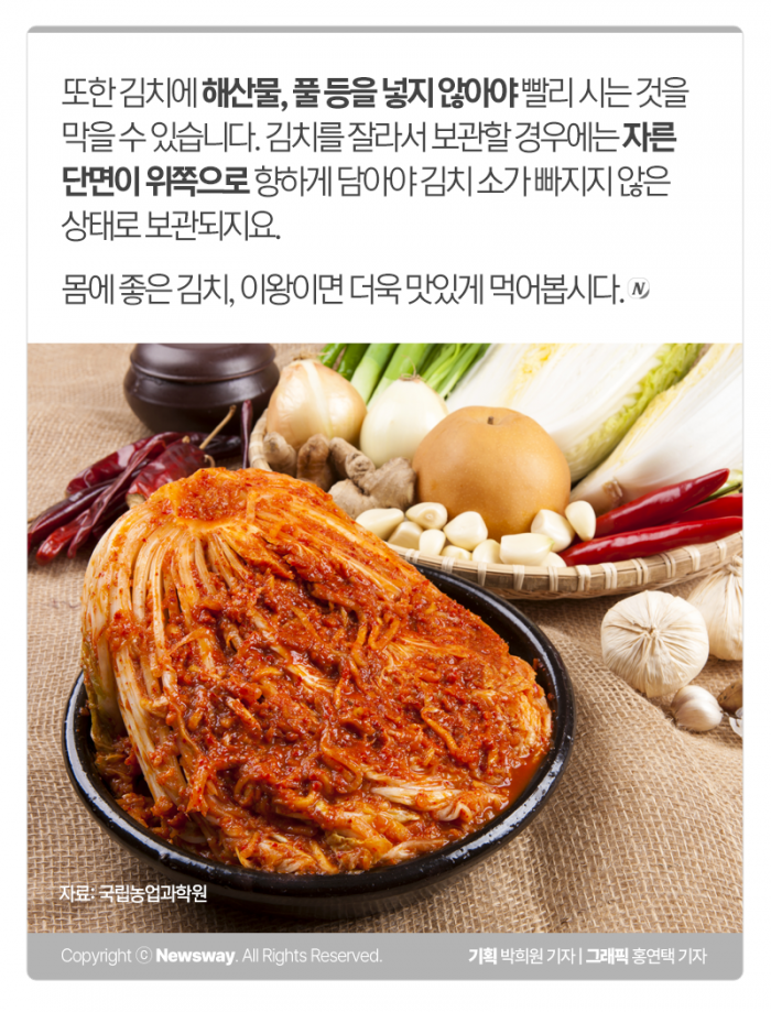 김치에 진심인 민족이 김장 더 맛있게 담그는 방법 기사의 사진