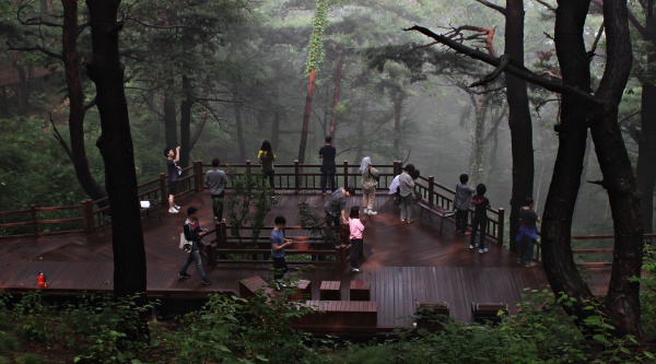 영주국립산림치유원에서 관광객들이 걷고 있다(사진제공=경북문화관광공사)