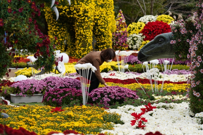 해남미남축제 꽃축제 현장