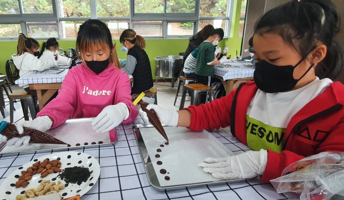 신안 압해서초등학생들이 보성군 한국차박물관에서 녹차 초콜릿 만들기 체험을 하고 있다.