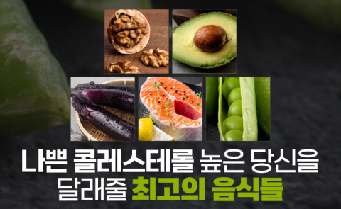 나쁜 콜레스테롤 높은 당신을 달래줄 최고의 음식들