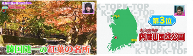 내장산국립공원, 일본 프로그램 소개 ‘일본서도 인기’
