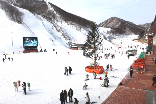 부영그룹 오투리조트 스키장 12월 11일 개장 예정