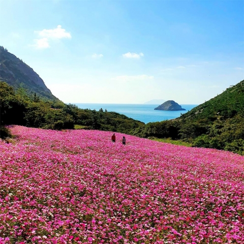 완도 청산도 구들장논, 대한민국 조경대상서 장관상 수상