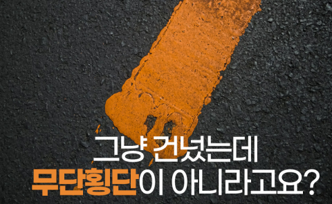 그냥 건넜는데 무단횡단이 아니라고요?