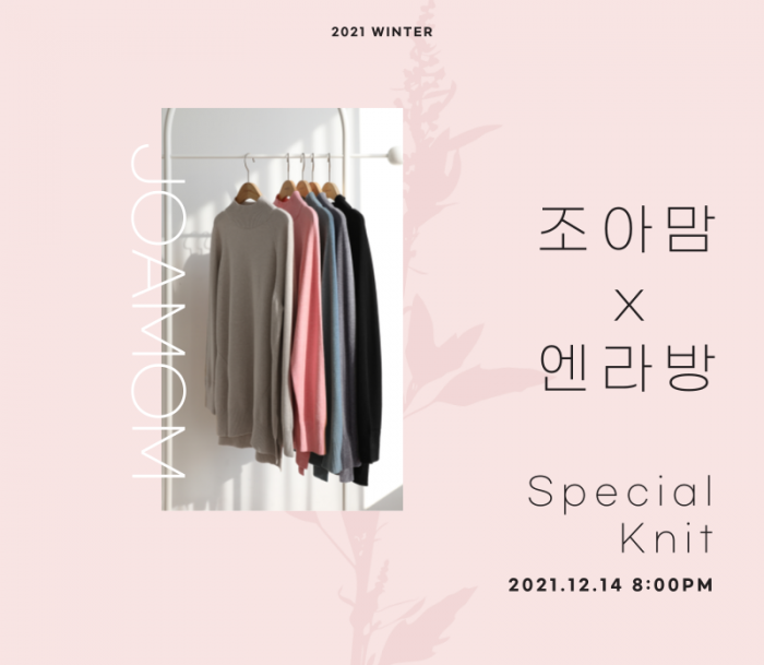 NS홈쇼핑의 라이브커머스 ‘엔라방’이 4060세대 신중년을 위한 패션 프로그램 ‘엔라방X조아맘’을 론칭한다. 사진=NS홈쇼핑