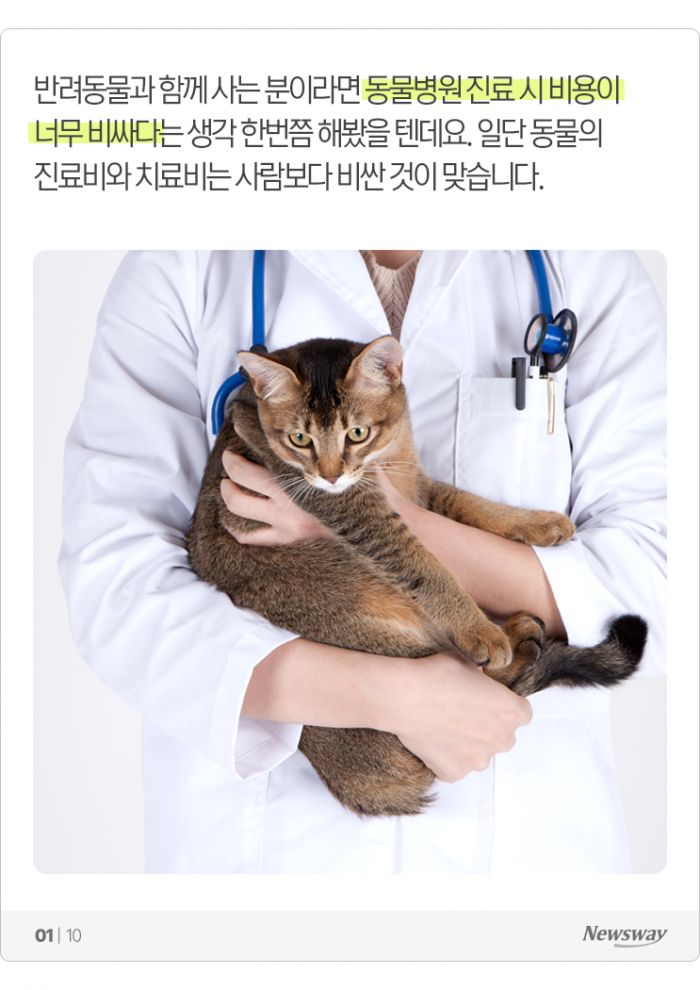 수술 한 번에 ‘천만원’ 뚝딱···부르면 값이 되는 동물병원 기사의 사진