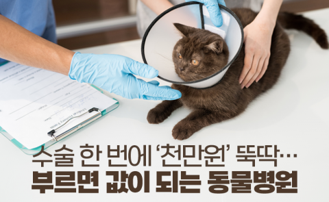 수술 한 번에 ‘천만원’ 뚝딱···부르면 값이 되는 동물병원
