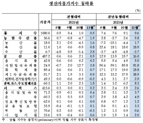 11월 생산자물가지수 전월比 0.5% ↑···13개월 연속 상승